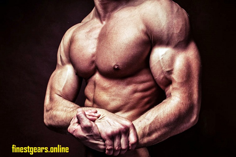 Getting The Best Software To Power Up Your animal energy review bodybulding